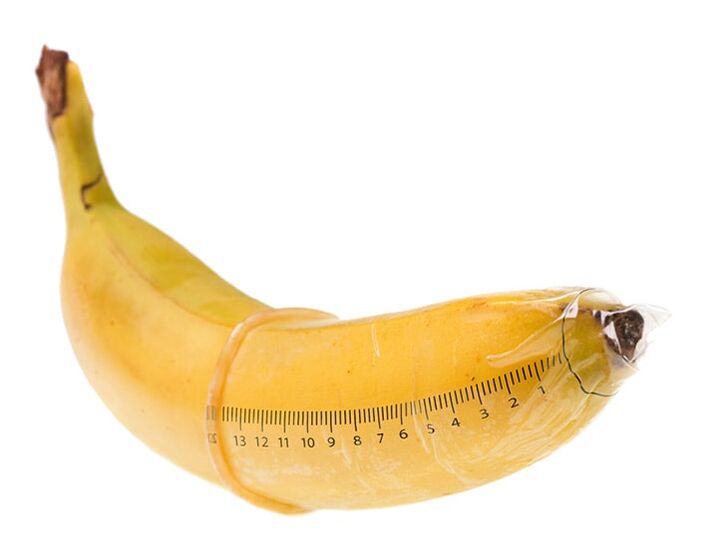Optimālais erekcijas dzimumlocekļa izmērs ir 10-16 cm